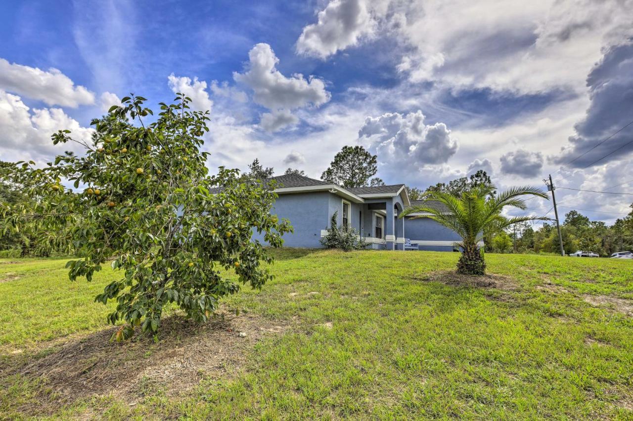 Ocala Casa Azul 7 Mi To World Equestrian Center Villa Eksteriør billede