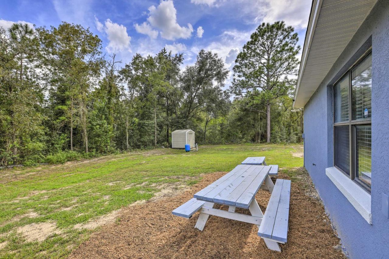 Ocala Casa Azul 7 Mi To World Equestrian Center Villa Eksteriør billede